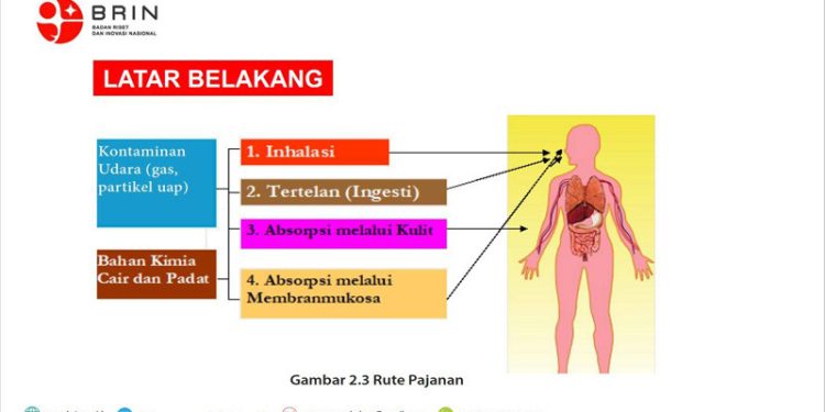 Provinsi Gorontalo Lima Besar Penyakit Akibat Polusi Udara Seperti Stroke dan Jantung Iskemik