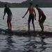 Beredar Video 3 Orang Berdiri di Punggung Paus di Perairan Raja Ampat
