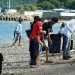 Pemerintah Kota Gorontalo Aksi Bersih-Bersih Pantai