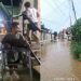 Banjir di Kota Gorontalo Merendam 1.547 Unit Rumah
