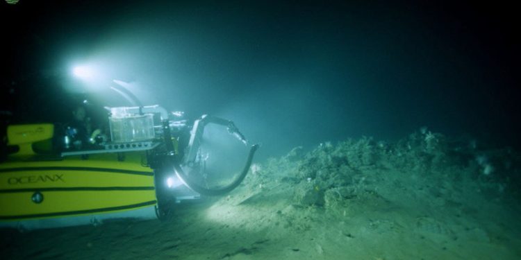 OceanX dan Peneliti Indonesia Temukan Deep-sea Coral Reefs