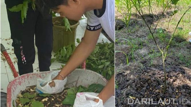 Mahasiswa KKN UNG Desa Banuroja Mengolah Limbah Batang Jagung Menjadi Pupuk Organik