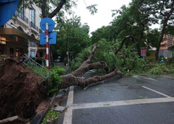Mendarat di Vietnam Topan Super Yagi Merusak Ribuan Rumah, 14 Orang Tewas
