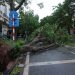 Mendarat di Vietnam Topan Super Yagi Merusak Ribuan Rumah, 14 Orang Tewas