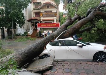 Vietnam Bersiap Menghadapi Topan Super Yagi, Satu Orang Tewas Tertimpa Pohon Tumbang