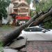 Vietnam Bersiap Menghadapi Topan Super Yagi, Satu Orang Tewas Tertimpa Pohon Tumbang
