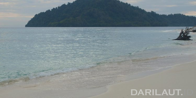 FMIPA UNG Menjalin Kerja Sama Dengan BKSDA Sulawesi Utara
