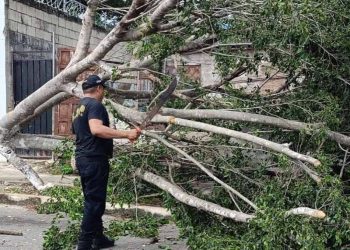 Hurricane Milton Meninggalkan Banjir, Pohon Tumbang dan Rumah Tanpa Listrik di Semenanjung Yucatan