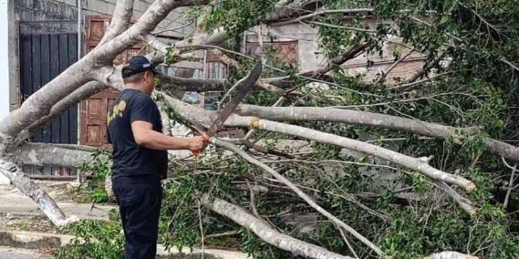 Hurricane Milton Meninggalkan Banjir, Pohon Tumbang dan Rumah Tanpa Listrik di Semenanjung Yucatan