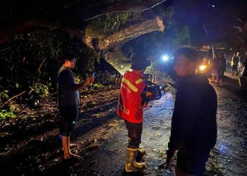 Longsor Deli Serdang Menyebabkan 6 Orang Tewas dan 1 Hilang