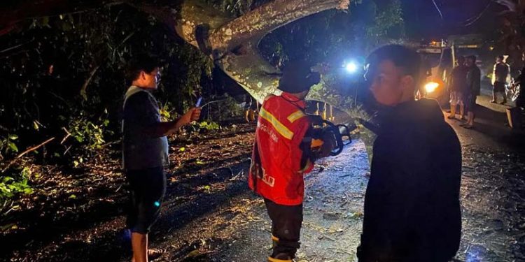 Longsor Deli Serdang Menyebabkan 6 Orang Tewas dan 1 Hilang