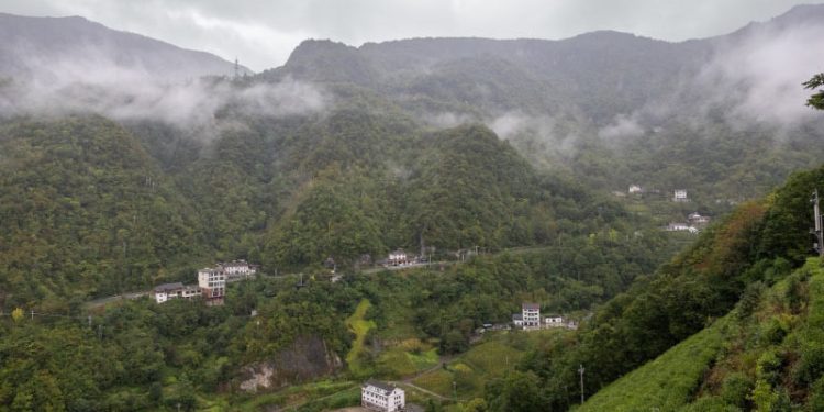Menjaga Keanekaragaman Hayati di Taman Nasional Shennongjia