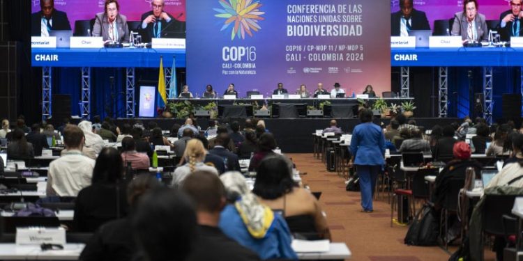 Momen Lingkungan Tahun 2024 (2)