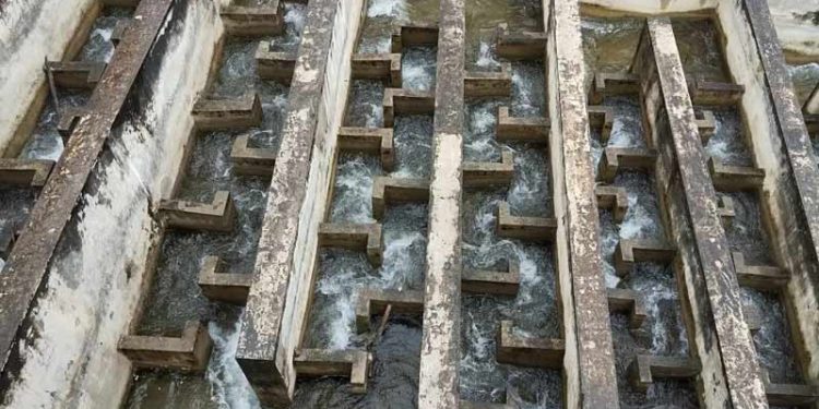 Membangun Lintasan Ikan Migrasi pada Bendungan
