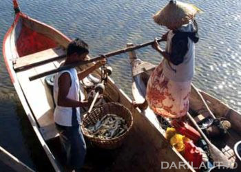 Inovasi Alat Tangkap Ikan Khas Bugis, Mandar dan Bajo