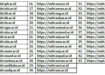 Ini Cara Mengecek Pengumuman Lulus SNBT