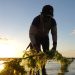 Produksi Rumput Laut Berkembang Baik dengan Mempertahankan Lamun, Mangrove dan Terumbu Karang