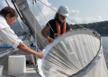 Plankton, Arsitek Tak Terlihat yang Membentuk Kehidupan di Bumi