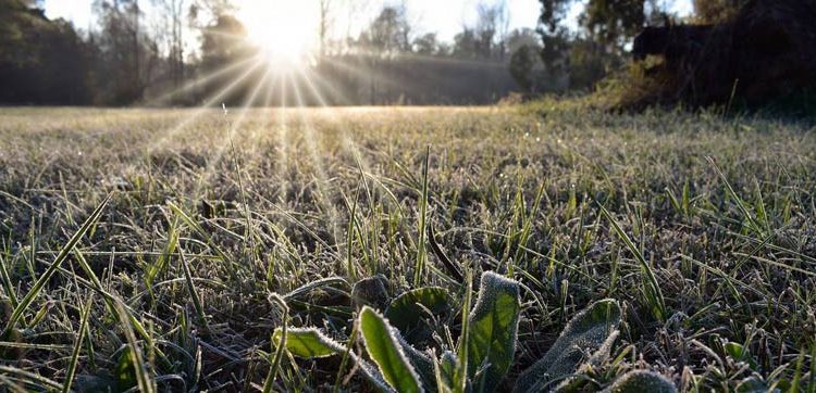 Cuaca Dingin Ekstrem di Chili dan Argentina Menyebabkan Sekolah dan Gedung Publik Ditutup