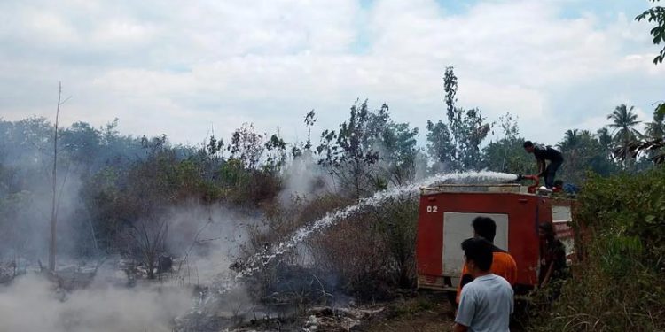 Kebakaran Hutan dan Kesulitan Air Bersih Melanda Sejumlah Wilayah di Indonesia