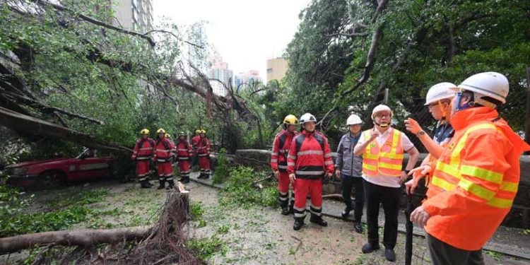 Topan Super Ragasa Meninggalkan 1000 Pohon Tumbang, Banjir dan Kerusakan di Hong Kong