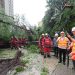 Topan Super Ragasa Meninggalkan 1000 Pohon Tumbang, Banjir dan Kerusakan di Hong Kong