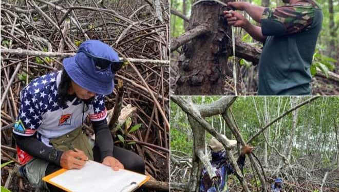 Mendata Mangrove Bersama Nelayan Uwedikan Kabupaten Banggai