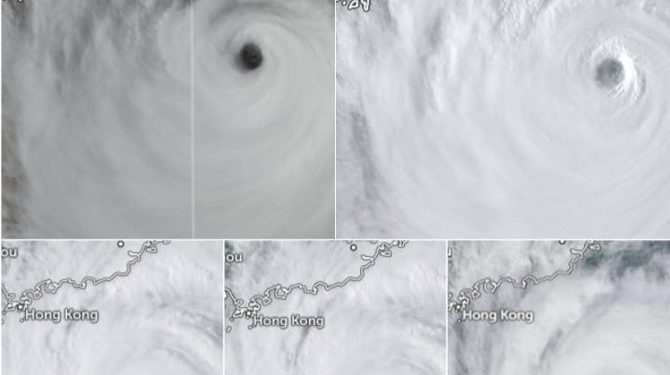 Topan Super Ragasa Menumbangkan Pohon dan Kejadian Tanah Longsor di Hong Kong