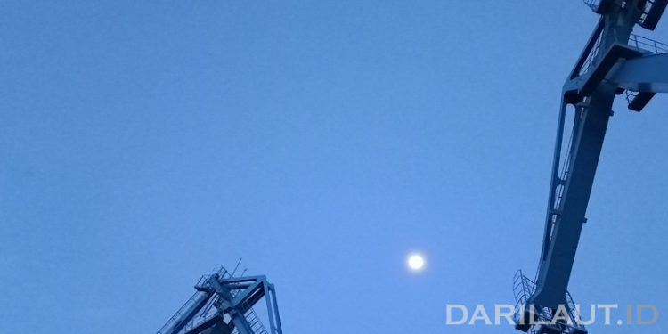 Hari Udara Bersih: Setiap Tarikan Napas Sangat Berharga