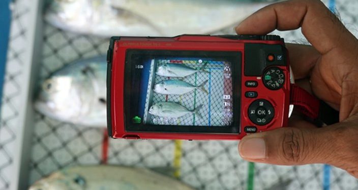 Nelayan Sumba Jadi Garda Depan Pengelolaan Perikanan Berkelanjutan di Laut Sawu