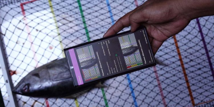 E-Logbook Versi Baru Dilengkapi FishFace, Teknologi yang Mampu Mengenali Spesies Tuna dan Kakap