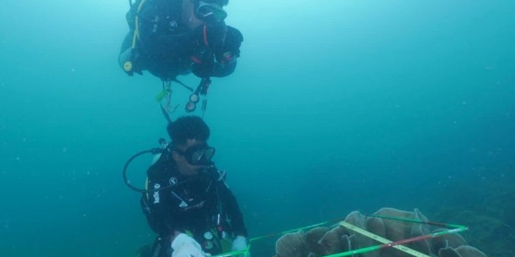 YKAN Dorong Ekonomi Biru Melalui Program Koralestari di Kabupaten Lingga