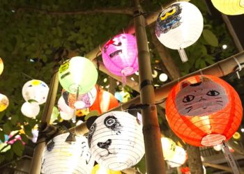 Festival Pertengahan Musim Gugur di Hong Kong, Terbangkan Lampion Denda $2.000