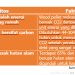 Pengusaha Nasional dan Pejabat Diduga di Balik Bisnis Biomassa di Provinsi Gorontalo