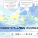 Pendekatan Social-Ecological System Dinilai Tepat untuk Pengelolaan Ekosistem Lamun Indonesia