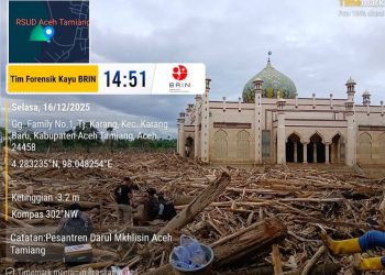 Forensik Kayu BRIN Ungkap Dinamika Material Banjir dan Longsor di Wilayah Sumatra