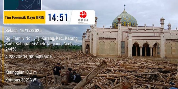 Forensik Kayu BRIN Ungkap Dinamika Material Banjir dan Longsor di Wilayah Sumatra