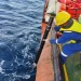 BRIN–IOCAS Berhasil Angkat Mooring Laut Dalam Berfrekuensi Tinggi, Perkuat Observasi Oseanografi Nasional