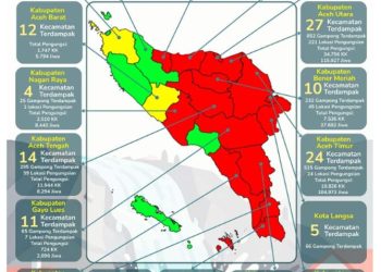 Korban Terdampak Bencana di Provinsi Aceh 1,4 Juta Jiwa, Meninggal Dunia 249 Orang