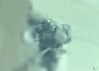 Pemerintah Ancam Kebebasan Pers dalam Liputan Bencana