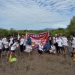 Mahasiswa UNG Tanam 3.000 Bibit Mangrove di Torosiaje, Wujud Kepedulian Lingkungan Pesisir
