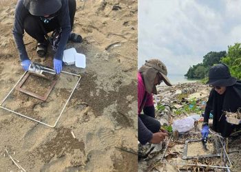 Indonesia Pantau Mikroplastik Laut Berbasis Protokol Global