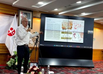 Cara Ilmuwan Griffith University Perkirakan Umur Gambar Cadas 67.800 Tahun di Pulau Muna