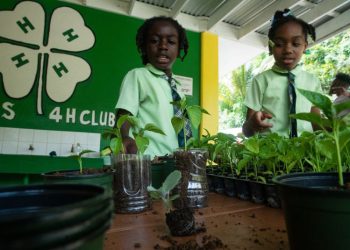 International Day of Education, UNEP Perkenalkan 5 Cara Pendidikan Untuk Mendorong Aksi Lingkungan