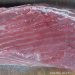 Ikan Termahal di Dunia Tuna Sirip Biru Dijual Lokal di Gorontalo