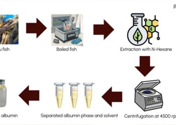 Riset UNG, Ikan Hulu’u Berpotensi untuk Perawatan Luka Diabetes