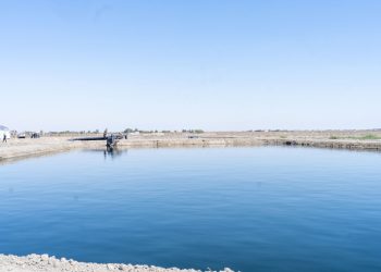 IOM dan UNEP Bangun Lahan Basah Buatan di Irak Selatan yang Menghadapi Panas dan Kekeringan