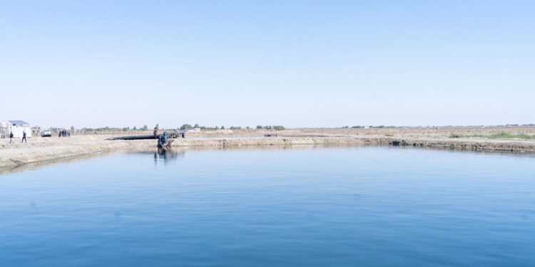 IOM dan UNEP Bangun Lahan Basah Buatan di Irak Selatan yang Menghadapi Panas dan Kekeringan