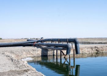 Lahan Basah Buatan di Irak Selatan Salah Satu Solusi Berbasis Alam