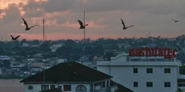 Otoritas Kesehatan India Laporkan Kasus Infeksi Virus Nipah ke WHO